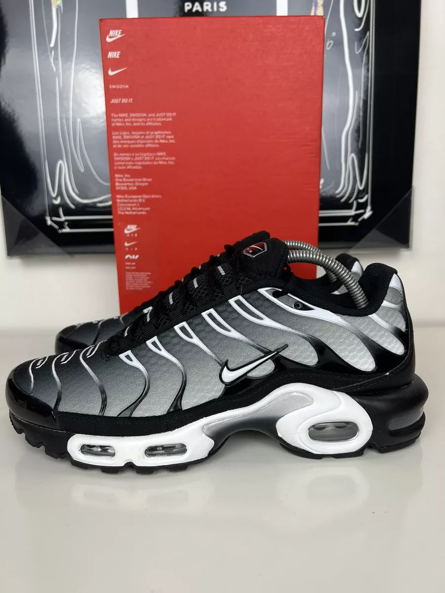nike tn metallic silver