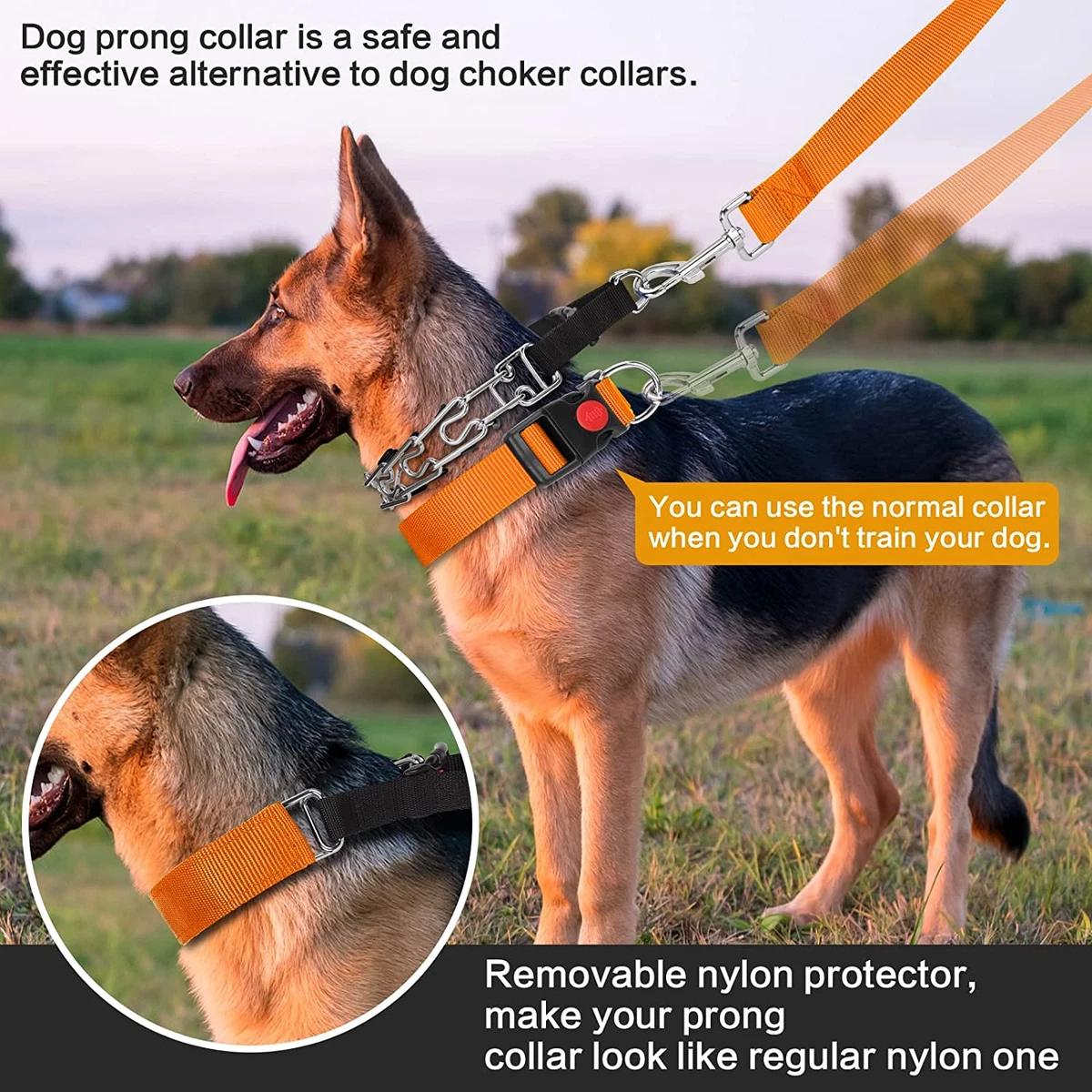 Are Chokers Effective In Training Dogs