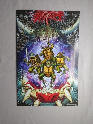 IDW Teenage Mutant Ninja Turtles #13 Eastman Virgin 1:25 (2025)!