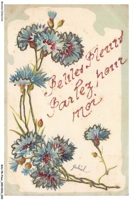 BAUP8-0380-BLUMEN - Blaubeeren - Schöne Blumen sprechen für mich