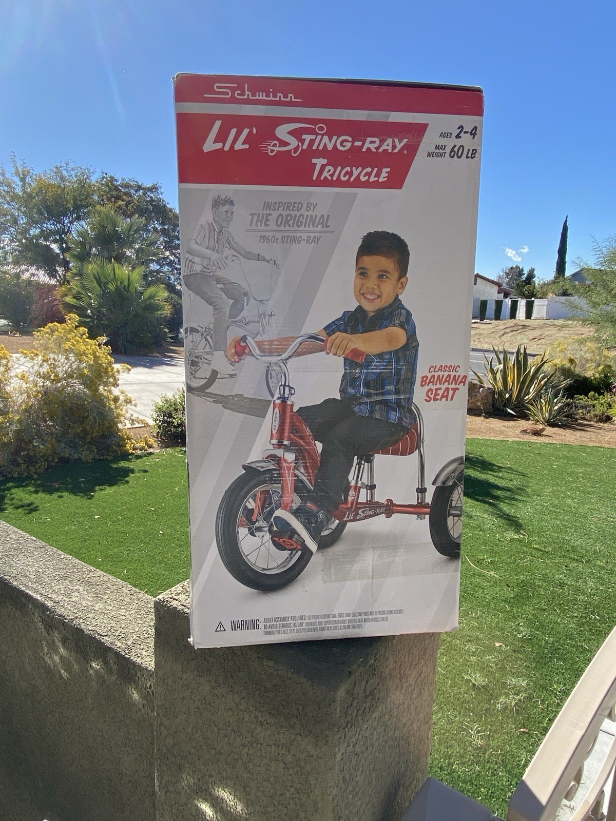 (New) schwinn Red Lil-stingray Tricycle banana Seat-NEW IN BOX (200.00 USD) (New) schwinn Red Lil-stingray Tricycle banana Seat-NEW IN BOX (200.00 USD)