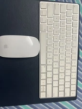 Apple Magic Keyboard and Mouse Combo US English