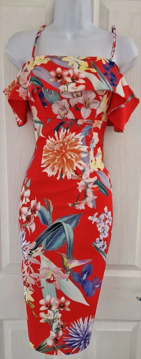 Lipsy red hotsell floral dress