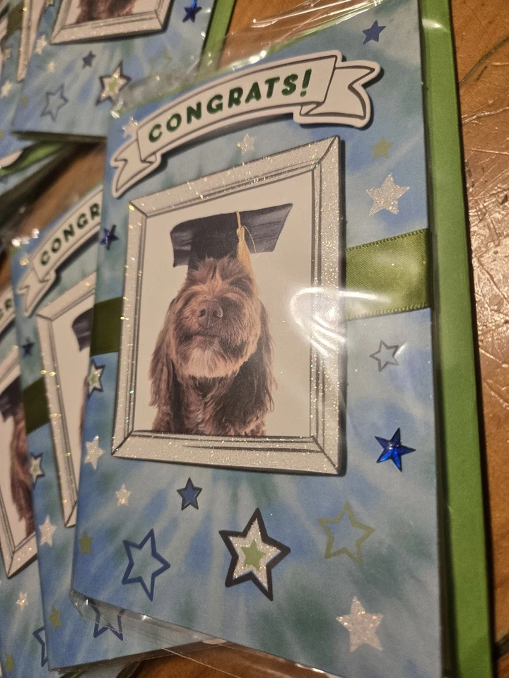 Lote de 16 Tarjetas GRADUACIÓN FELITS con Sobres y Sobres Pegatinas NUEVAS Foto 2 de 3