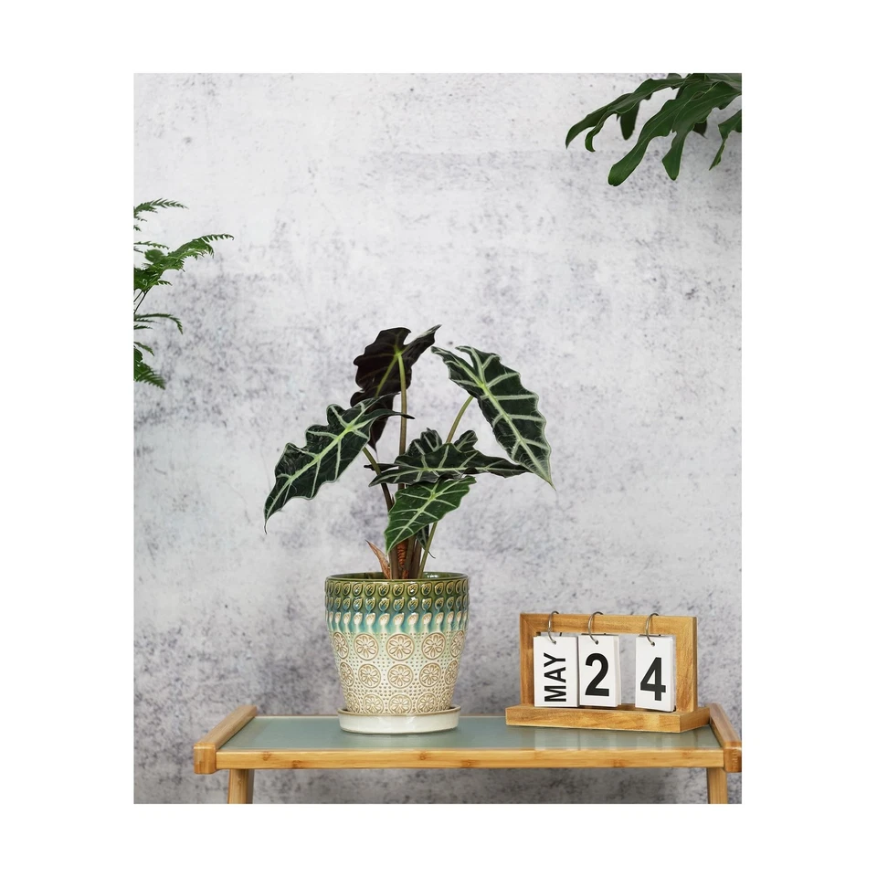 Maceta de cerámica de 6 pulgadas + 5 pulgadas con orificio de drenaje y platillo para P... Envío rápido Foto 4 de 4