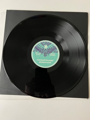 Gates of Dawn Self Titled LP + Insert Death Hymns Records DH-028 EX - Imagen 8 de 9