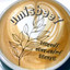 umisbee7