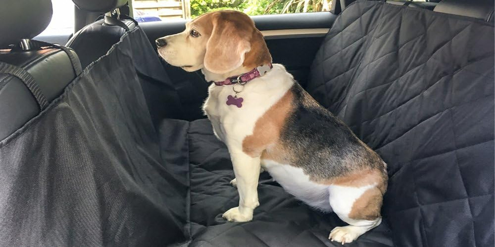 Coperta Auto per Cani: Viaggi Comodi e Sedili Sempre Nuovi