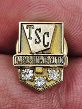 Vintage TSC Tractor Supply Co 10K Gold Service Award Pin Farm Home Auto w/...