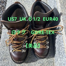 GoreTex Danner MOUNTAIN LIGHT* Mountain Light