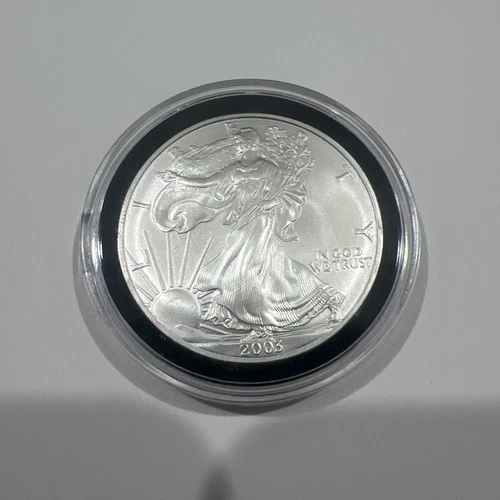 2003 Walking Liberty American Eagle Silver Dollar .999 fine 1oz