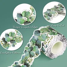 Display Board Eucalyptus Border - Backing Paper for Wall Displays School TL