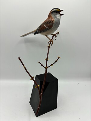 White-throated Sparrow Original Wood Carving