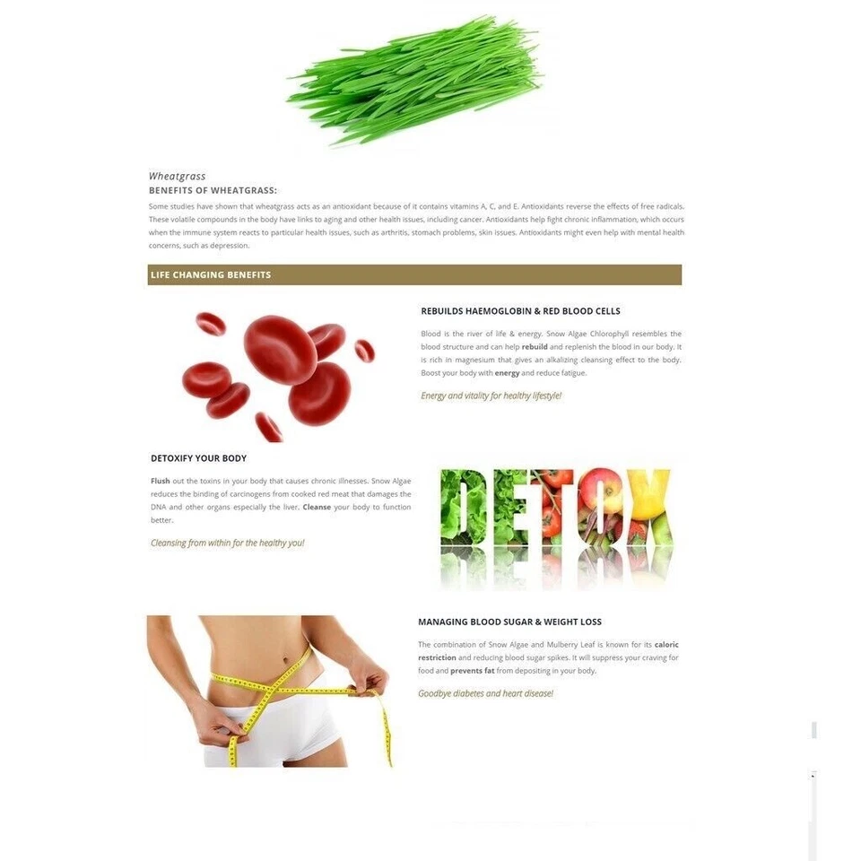 4 x Phytoscience Snowphyll Forte Snow Algae Chlorophyll & Mulberry Leaf Extract - Image 4 of 4