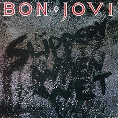 Slippery When Wet - Audio CD By Bon Jovi - GOOD