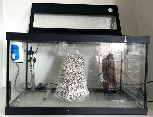 acuario completo 35 L