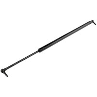 NTY Gasfeder Heckklappe Beidseitig FüR Chrysler Voyager IV RG 2.8 CRD