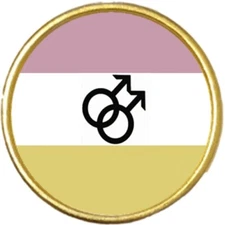 Twink Pride Rainbow LGBTQ Gold Colour Round Badge And Velveteen Bag