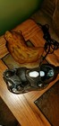 Bild 4 von 12