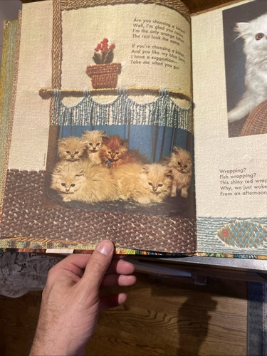 Tell Me Cat Ellen Fisher Big Golden Book Hardcover Vintage 1965 1st Print Rare! - Picture 9 of 12