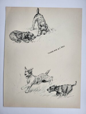 Alte Vintage Just Dog Zeichnung Skizze Druck 1936 Terrier Tinker and his Pals