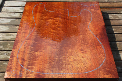 POMELLE/GESTEPPTE SAPELE einteiliger Gitarrenkörper leer 505 x 383 x 46 mm S5