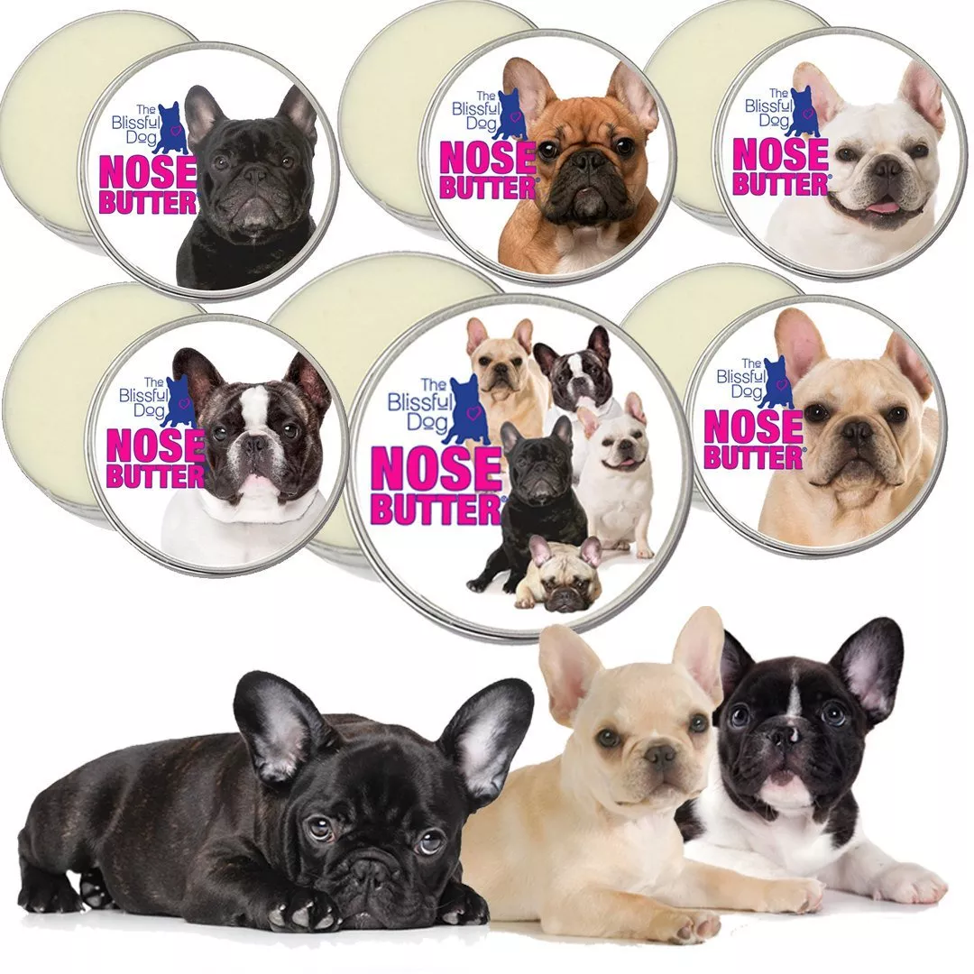 Why are My French Bulldogs Ears Crusty: Expert Solutions