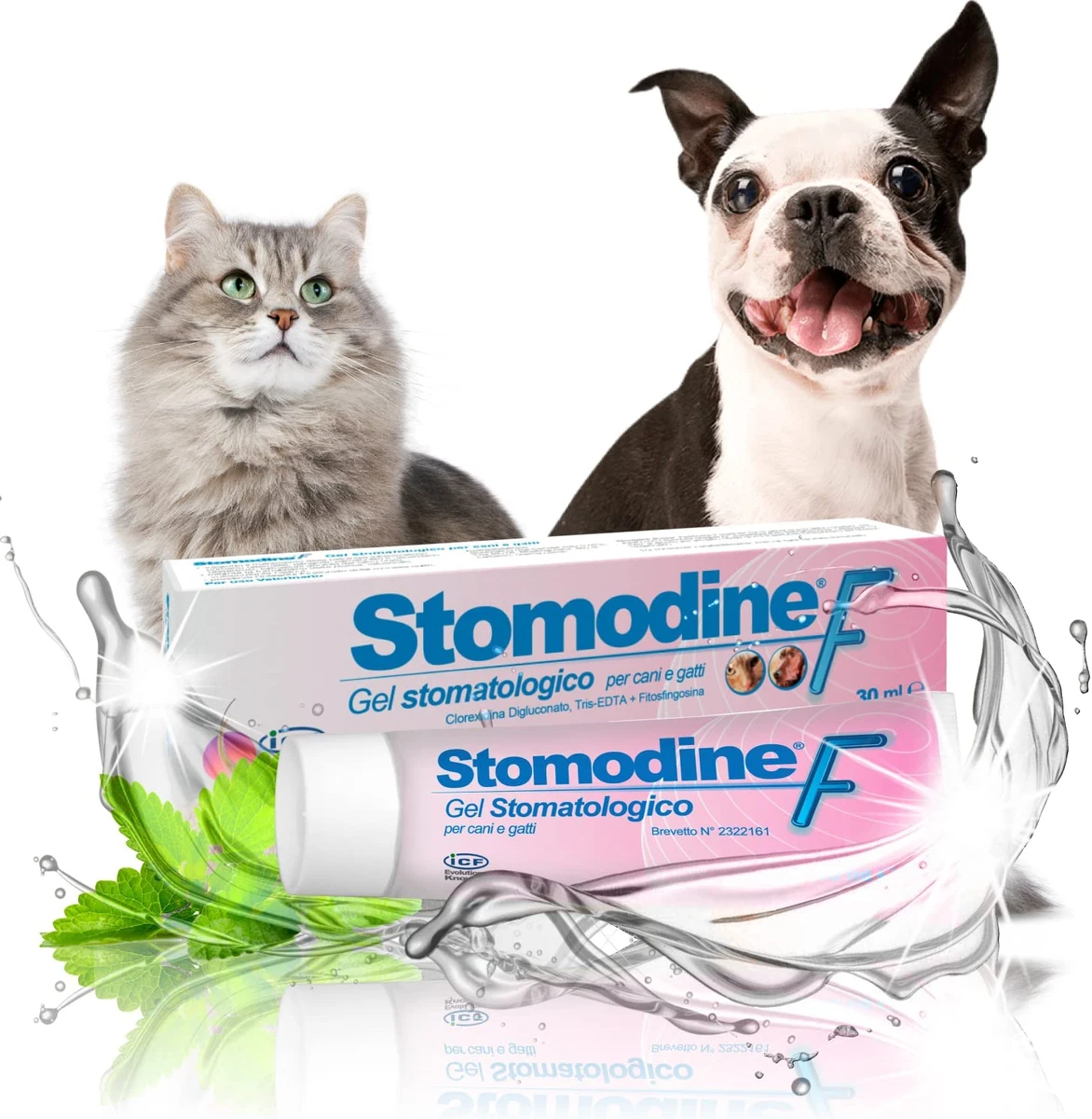 Dog clearance toothpaste ebay