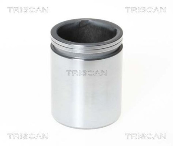 Triscan Kolben Bremssattel 8170 234610 FüR Peugeot Ducato CitroËN Fiat 46Mm Bus-image