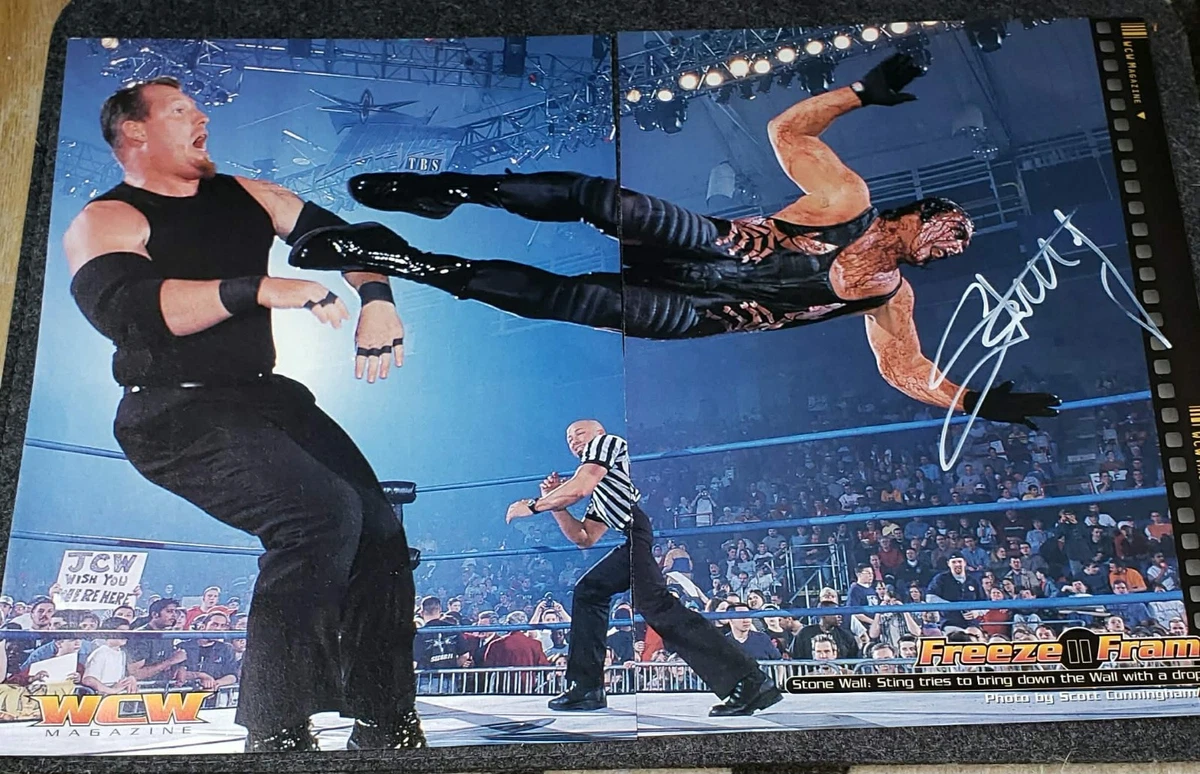 WWE Wrestling Signs for sale | eBay