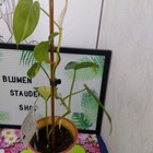 Bild 22 von 24