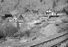 1940 Train Tracks Into Ophir, Colorado Vintage Old Photo 13" x 19" Reprint