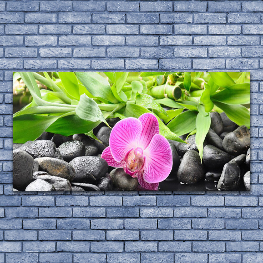 Tableau Impression Image sur Plexiglas 140x70 pour déco murale