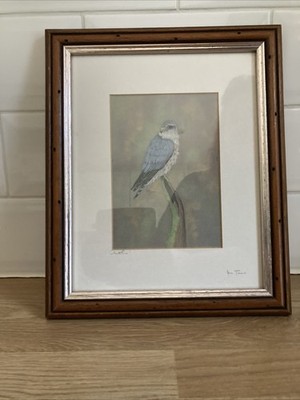 Greifvogel Merlin Druck der Künstlerin Anne Jones - signiert