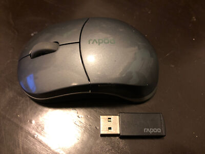 Rapoo 1100 Wireless Mouse. Works Wonderfully￼