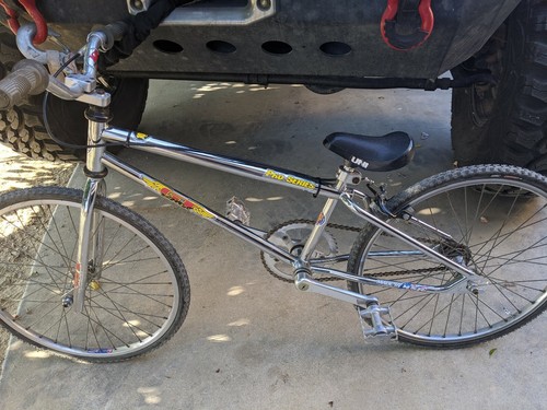1993 gt BMX Pro 系列老学校引进Junior 尺 