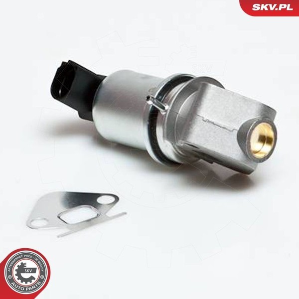 Esen SKV Agr-Ventil 14SKV007 FüR Audi Seat Skoda VW-image