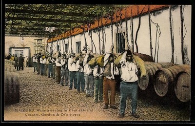 AK Madeira, Wine arriving in Goat skins at Cossart, Gordon & Co´s stores 