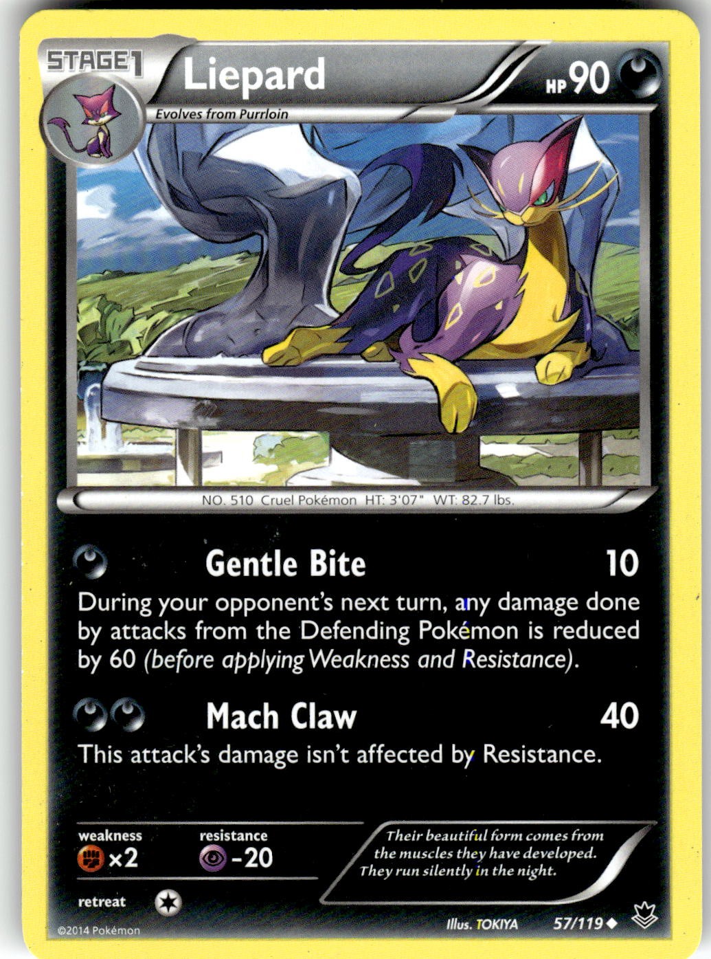 Liepard XY - Phantom Forces 57/119 2014
