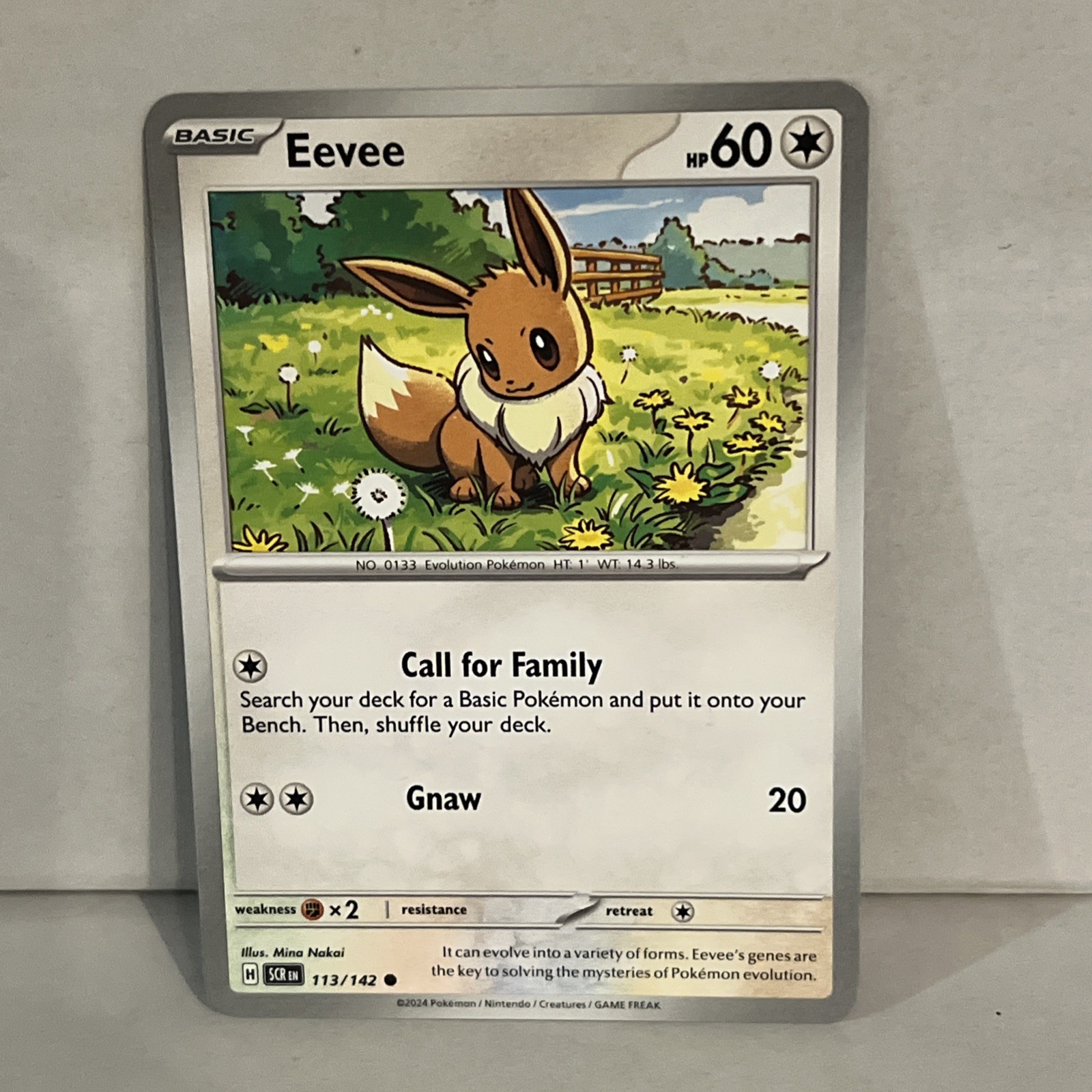 👑Pokemon TCG - Eevee -  113/142 - Common - Stellar Crown - NM👑