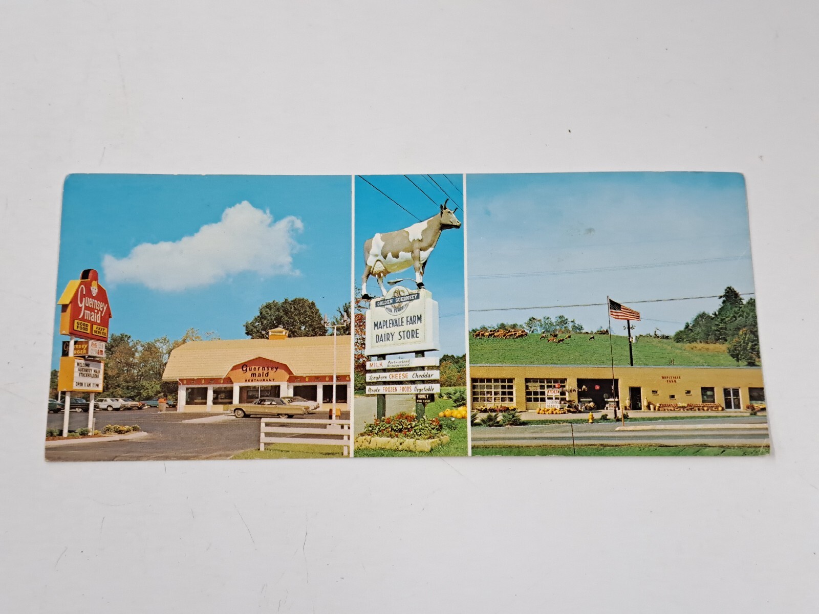 Vintage Postcard. Maplevale Farm and Guernsey Maid Restaurant