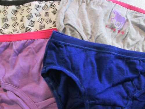 New Hanes,FruitLoom Etc Size 8/M Girls' Bikini Briefs 4 Pk Your Choice of Group - Picture 13 of 74