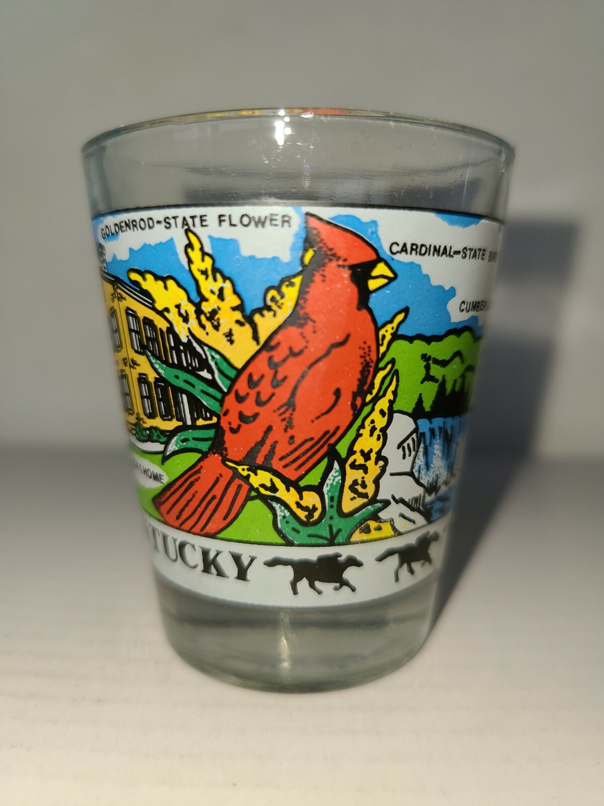 Kentucky Shot Glass eBay