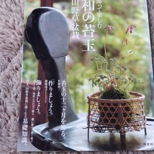 Japanese Moss Ball with Wildflower Bonsai Decor, Used, With Cover, Repaired Page