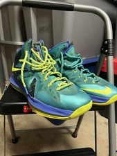 Size 12 - Nike LeBron 10 P.S. Elite Sport Tur...