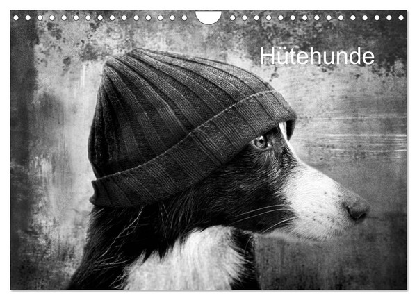 "Calendar 2027 · US Version · Herding Dogs (Wall Calendar 2027 12\" × 8\" Landscape"-image