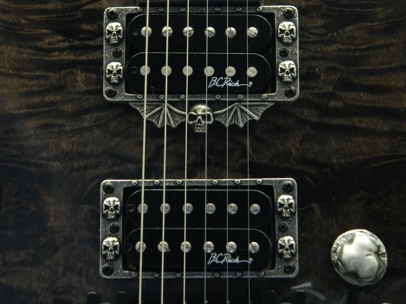 7 PIEZAS DE CALAVERA para guitarra bc rich mockingbird anillos pu perillas interruptor y cubiertas de conector Foto 3 de 4