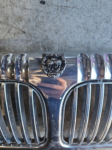1998-2003 Jaguar X300 X308 XJ8 Front Grille OEM HNC-5504 Vintage Jag Chrome 80cm - Picture 2 of 4