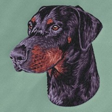JUEGO DE 2 TOALLAS DE MANO BORDADAS Doberman Pinscher raza perro baño