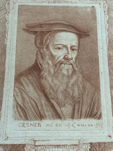 Portrait Of Conrad Gesner (1516-1565), Doctor And Naturalist Swiss - Picture 11 of 12